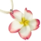 Produkt 40444